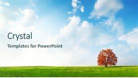  Presentation with autumn blue - Audience pleasing slide deck consisting of alone red autumn tree backdrop and a sky blue colored foreground