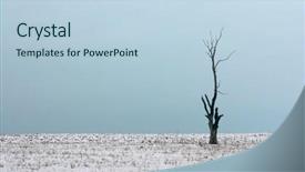 Presentation with alone - Audience pleasing presentation consisting of alone tree in and cold winter field backdrop and a light blue colored foreground
