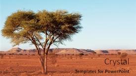  Presentation with alone - Cool new slide deck with alone-tree-in-sahara-desert backdrop and a red colored foreground