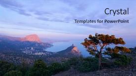  Presentation with black sea - Audience pleasing PPT theme consisting of alone tree on the edge backdrop and a light blue colored foreground