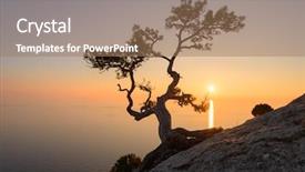  Presentation with black sea - Amazing PPT layouts having alone tree on the edge backdrop and a coral colored foreground