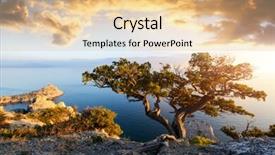  Presentation with black-sea - Beautiful theme featuring alone tree on the edge backdrop and a lemonade colored foreground