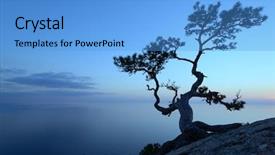  Presentation with black sea - PPT theme enhanced with alone tree on the edge background and a teal colored foreground