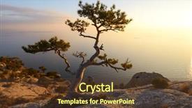  Presentation with black sea - PPT theme enhanced with alone tree on the edge background and a tawny brown colored foreground