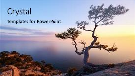  Presentation with black sea - Beautiful theme featuring alone tree on the edge backdrop and a light blue colored foreground