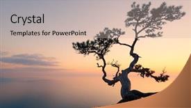  Presentation with black sea - PPT layouts having alone tree on the edge background and a soft green colored foreground