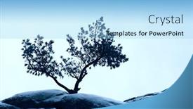  Presentation with blue sky - PPT layouts featuring alone-tree-stand-over-blue background and a light blue colored foreground
