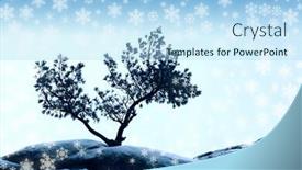  Presentation with blue sky - Cool new presentation design with alone-tree-stand-over-blue backdrop and a light blue colored foreground