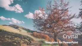  Presentation with filter - 