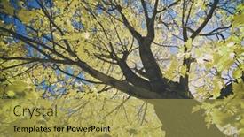  Presentation with filter - 