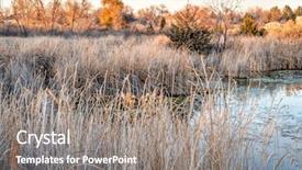  Presentation with fall - Audience pleasing presentation consisting of along the poudre river convert backdrop and a gray colored foreground