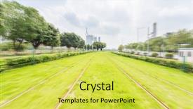  Presentation with mangroves mangrove trees along - Colorful slide deck enhanced with along with trees and greenland backdrop and a yellow colored foreground