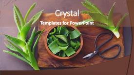  Presentation with aloe vera - Colorful presentation design enhanced with alovera - aloe vera on dark background backdrop and a  colored foreground