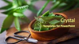  Presentation with aloe vera - Presentation design featuring alovera - aloe vera on dark background background and a  colored foreground