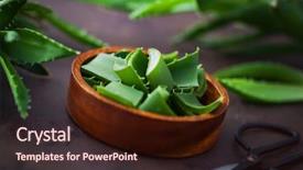  Presentation with aloe vera - Beautiful slide set featuring alovera - aloe vera on dark background backdrop and a  colored foreground