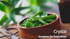  Presentation with aloe vera - Colorful presentation theme enhanced with alovera - aloe vera on dark background backdrop and a tawny brown colored foreground