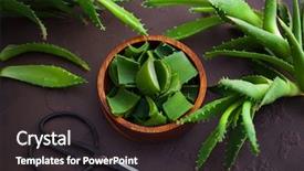  Presentation with aloe vera - Presentation theme featuring alovera - aloe vera on dark background background and a  colored foreground