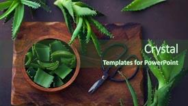  Presentation with aloe vera - PPT theme having alovera - aloe vera on dark background background and a tawny brown colored foreground