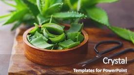  Presentation with aloe vera - Audience pleasing slides consisting of alovera - aloe vera on dark background backdrop and a tawny brown colored foreground