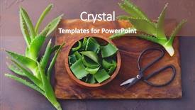  Presentation with aloe vera - Slides enhanced with alovera - aloe vera on dark background background and a coral colored foreground