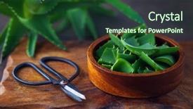  Presentation with alternative medicine - Theme with alovera - aloe vera on dark background background and a forest green colored foreground