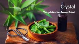  Presentation with aloe vera - Colorful theme enhanced with alovera - bottle of aloe vera essential backdrop and a  colored foreground