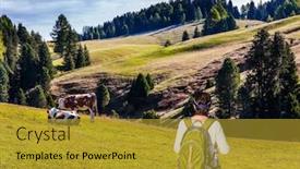  Presentation with grazing - Beautiful slides featuring alpe-di-siusi-is-charming backdrop and a gold colored foreground