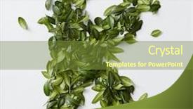  Presentation with alphabet - Slide set featuring alphabet letters from leaves background and a tawny brown colored foreground