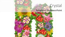  Presentation with alphabet - 