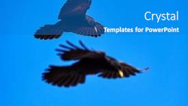  Presentation with alpine - Audience pleasing PPT theme consisting of alpine-chough-or-yellow-billed backdrop and a teal colored foreground