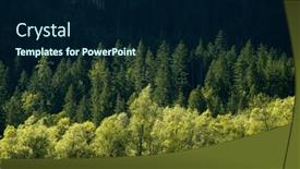  Presentation with light shade - Presentation enhanced with alpine-coniferous-forest-and-mixed background and a navy blue colored foreground