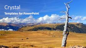  Presentation with europe - Theme featuring alpine-fields-of-seiser-alm background and a teal colored foreground