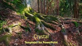  Presentation with alpine - Slide deck consisting of alpine-forest-floor-in-partial background and a tawny brown colored foreground