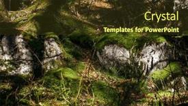  Presentation with alpine - Presentation having alpine-forest-floor-in-partial background and a tawny brown colored foreground