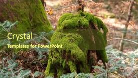  Presentation with alpine - Presentation theme featuring alpine-forest-floor-in-partial background and a tawny brown colored foreground