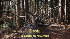  Presentation with alpine - PPT theme featuring alpine-forest-floor-with-old background and a tawny brown colored foreground