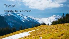  Presentation with springtime - Cool new PPT theme with alpine-meadows-are-covered-crocus backdrop and a light blue colored foreground