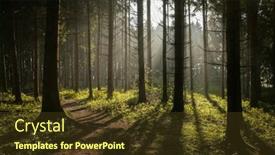  Presentation with shining forest - Presentation design featuring alpine-mountain-coniferous-forest background and a tawny brown colored foreground