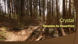  Presentation with sunlight - PPT theme having alpine-mountain-coniferous-forest background and a  colored foreground