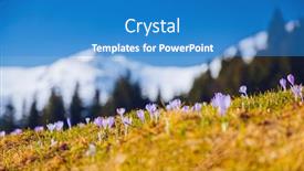  Presentation with springtime - Colorful presentation theme enhanced with alpine-pastures-are-covered-magic backdrop and a teal colored foreground