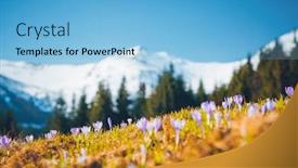  Presentation with poland - Audience pleasing presentation consisting of alpine-pastures-are-covered-magic backdrop and a light blue colored foreground