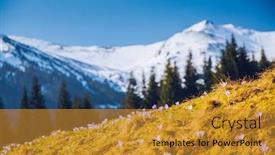  Presentation with spectacular - Presentation theme featuring alpine-pastures-are-covered-magic background and a gold colored foreground