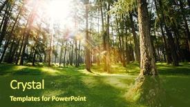  Presentation with forest fairy - Cool new theme with alps europe explore the world backdrop and a tawny brown colored foreground