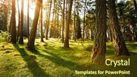  Presentation with forest fairy - Amazing PPT theme having alps europe explore the world backdrop and a tawny brown colored foreground