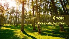  Presentation with forest morning - Slide deck enhanced with alps europe explore the world background and a tawny brown colored foreground