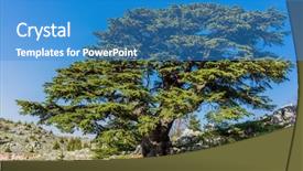  Presentation with middle east - Colorful PPT theme enhanced with als - trees of al shouf cedar backdrop and a teal colored foreground