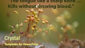  Presentation with inspirational - Presentation theme consisting of also available in my portfolio background and a tawny brown colored foreground