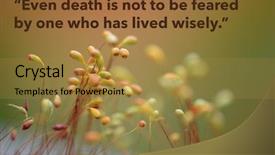  Presentation with inspirational - Presentation design with also available in my portfolio background and a gold colored foreground