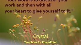  Presentation with inspirational - Colorful presentation theme enhanced with also available in my portfolio backdrop and a tawny brown colored foreground