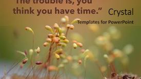  Presentation with inspirational - Cool new PPT layouts with also available in my portfolio backdrop and a coral colored foreground